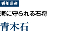 【香川県産】海に守られる石将　「青木石」